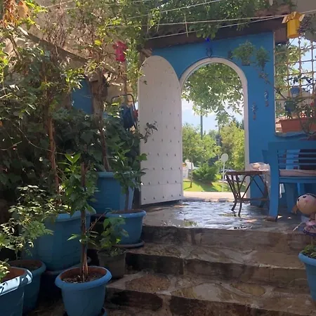 Pasa Konagi Butik 2*