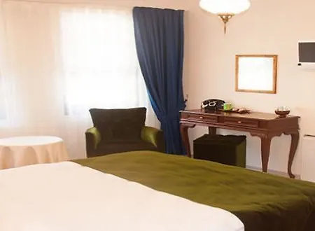 Hotel Pasa Konagi Butik 2*