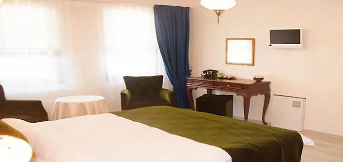 Hotel Pasa Konagi Butik 2*